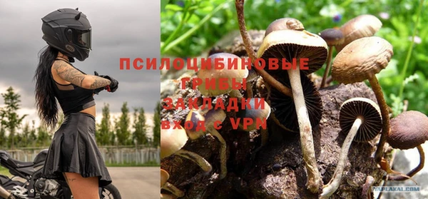 герыч Абинск