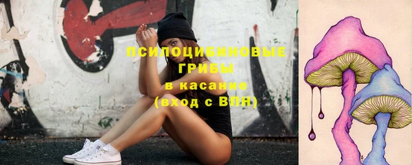 стафф Алексин