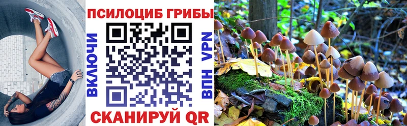 shop какой сайт  Павловский Посад  Галлюциногенные грибы MAGIC MUSHROOMS 