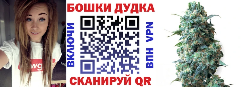 купить закладку  Павловский Посад  Марихуана марихуана 